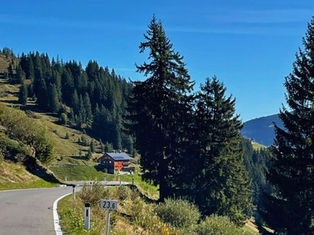 Winding mountain road beside pine forest and a cabin under a clear blue sky