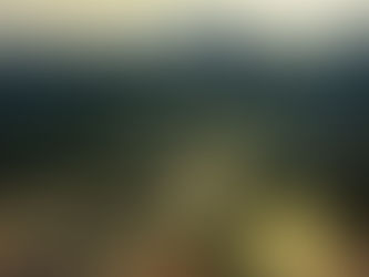 A serene forest scene with a wooden bridge over a reflective river, dense trees in the background, and a golden evening sky.