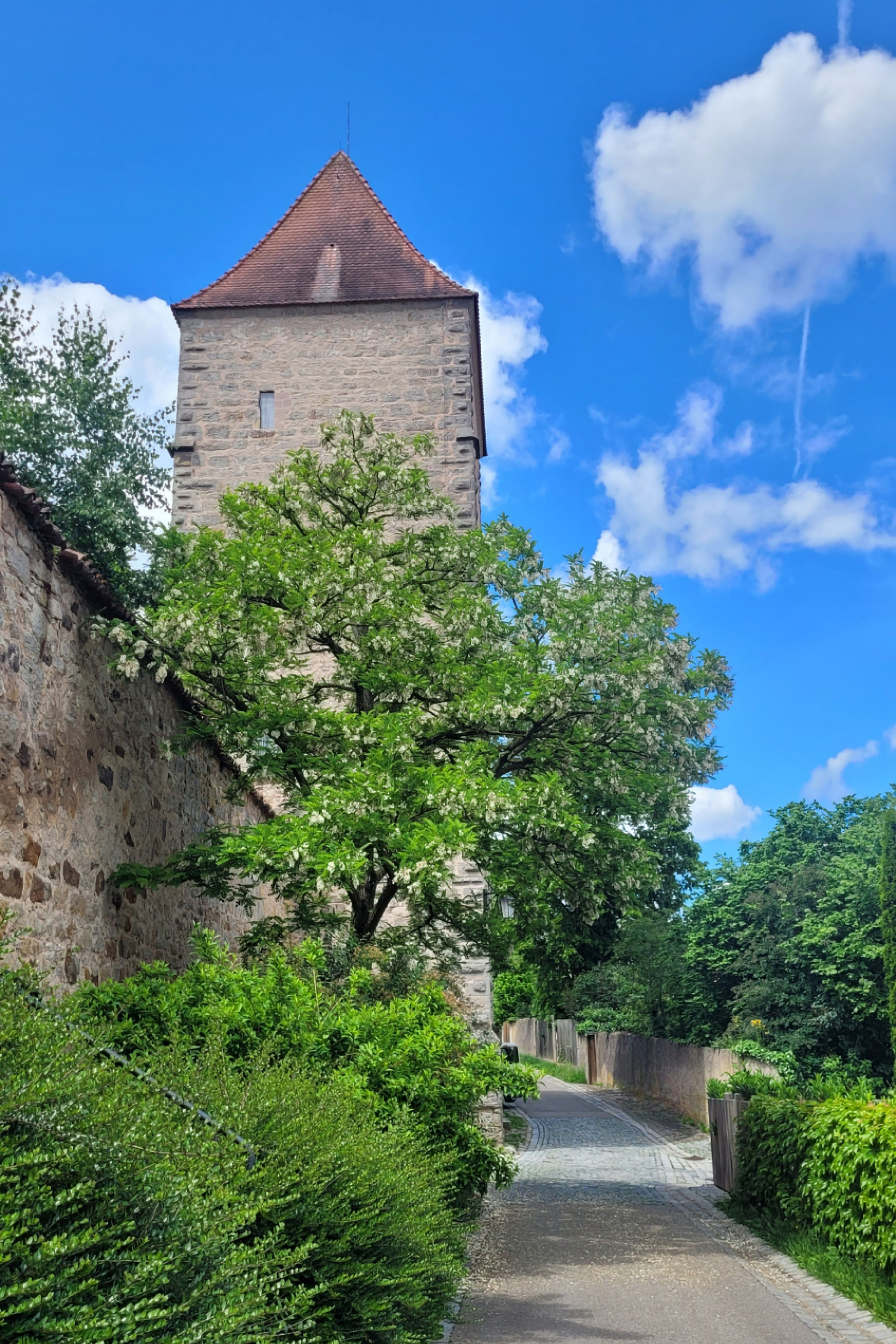 Dinkelsbühl. May 2024