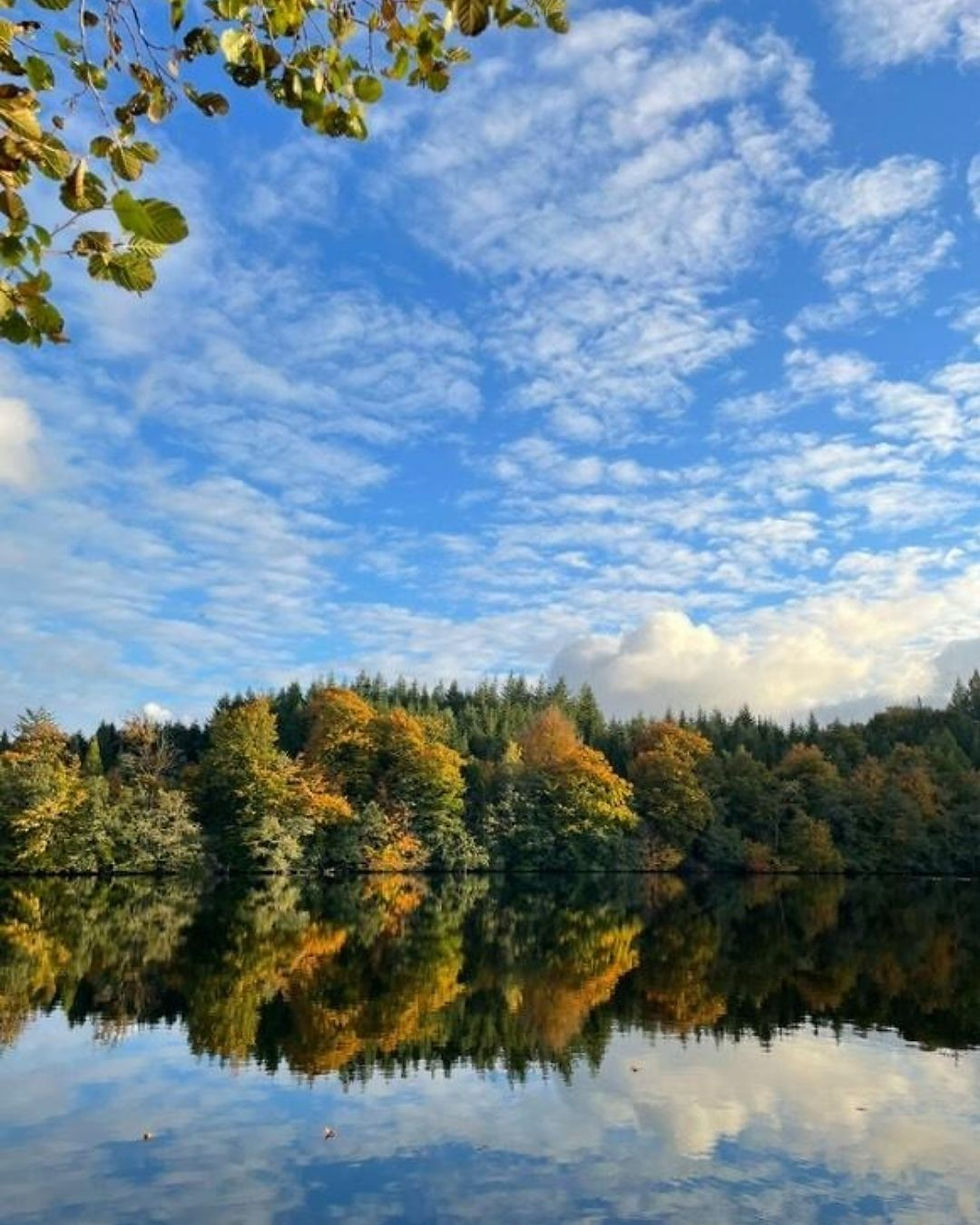 Autumn trees with orange and green leaves reflect on a calm lake under a vibrant blue sky with fluffy clouds. Tranquil and serene scene.