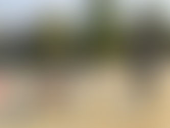 造形活動と1月のお誕生日会