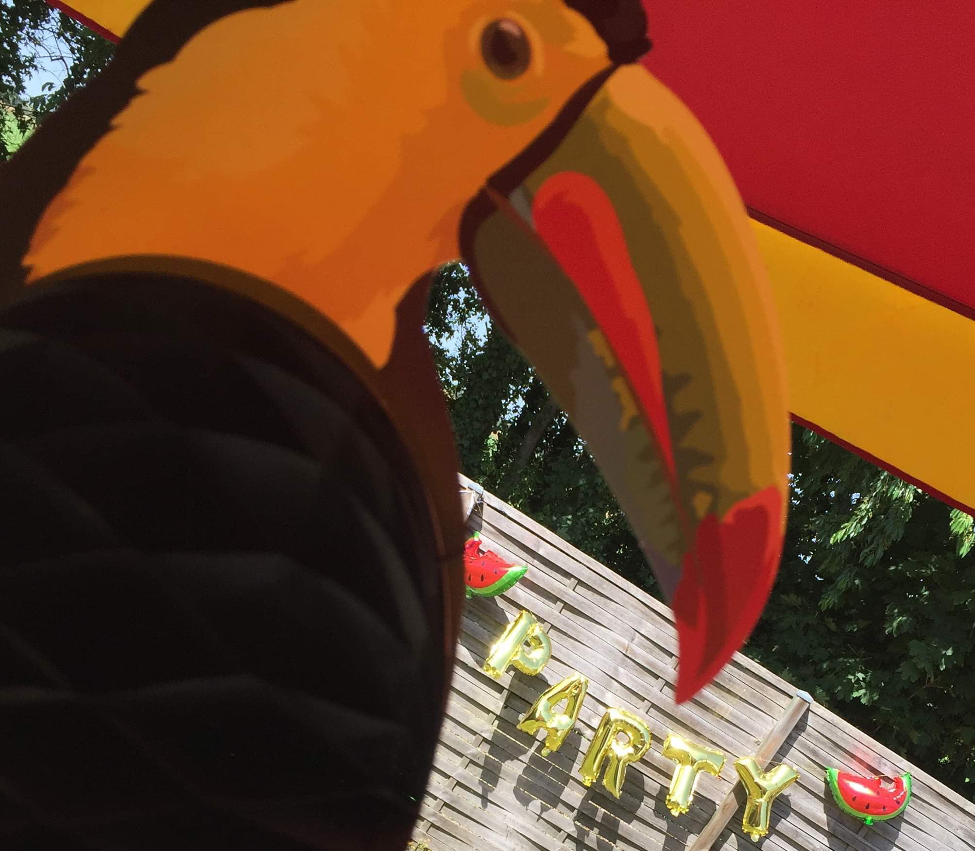 ANNIVERSAIRE TROPICAL