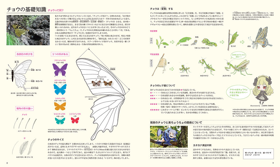 Thumbnail: Beautiful Butterfly Girls Illustration Book