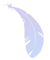 feather_edited.png