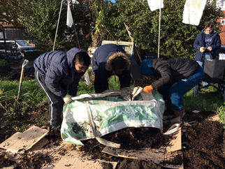 5MP Planting