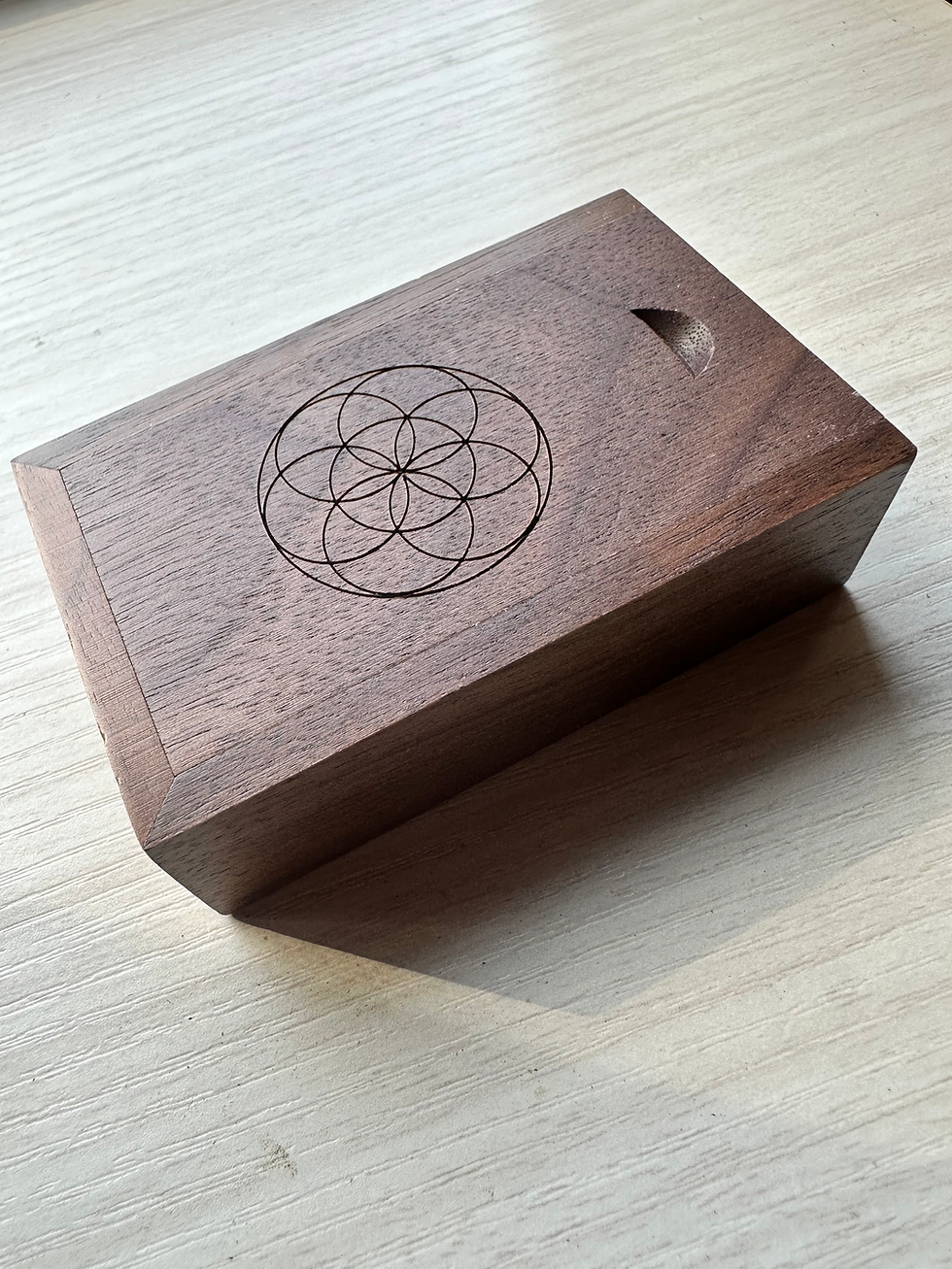 Crystal USB Case