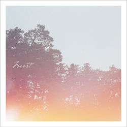 Field Soundgraphy ~Forest~