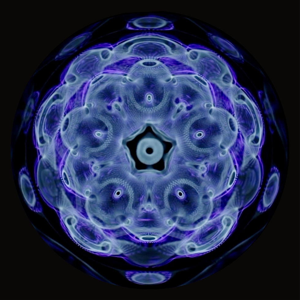 06_Lucid Bloom_SQ