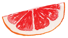 GrapefruitSlice.png