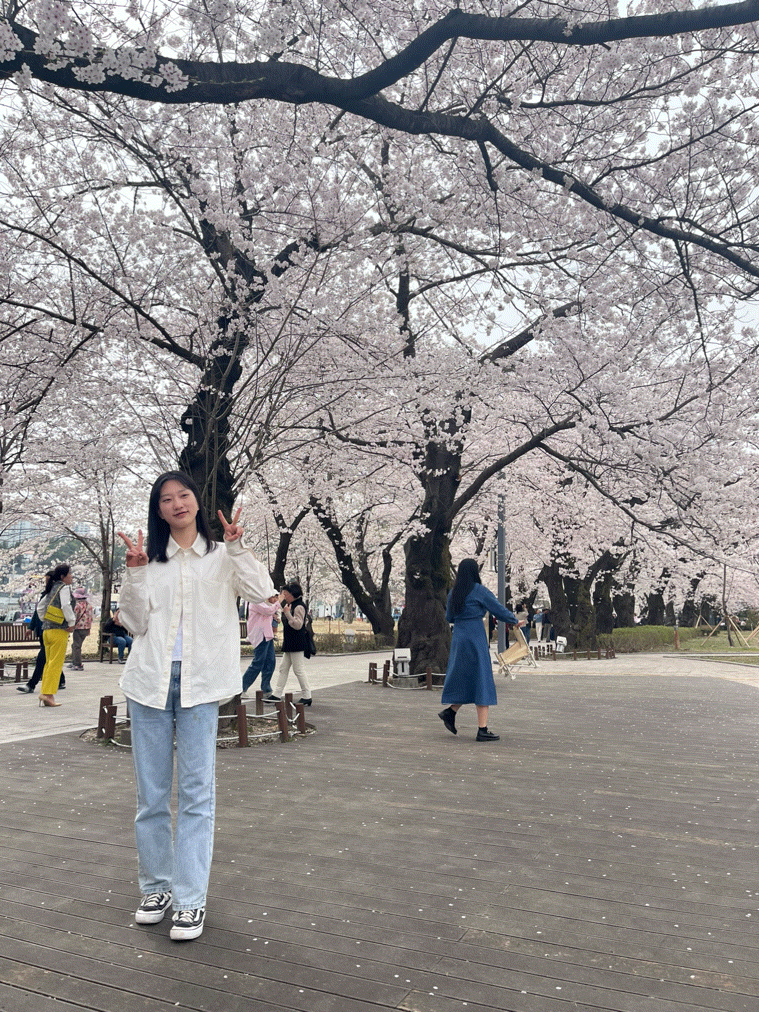 Spring picnic