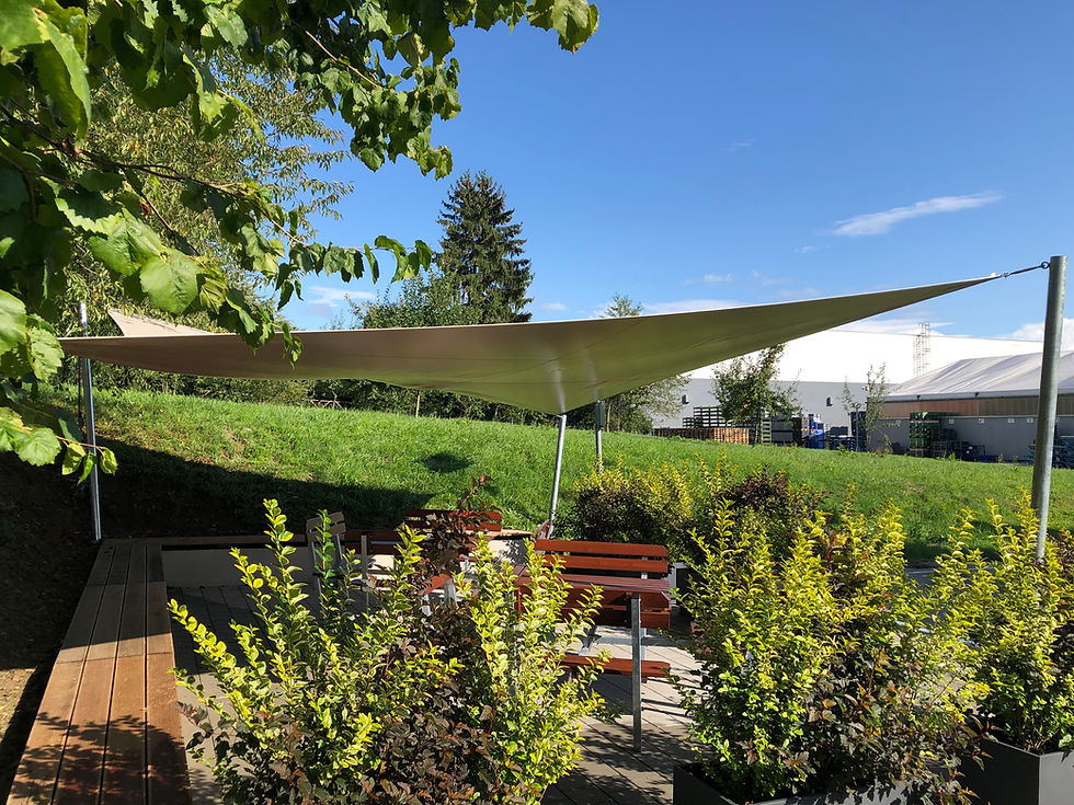 Borg Warner Markdorf 6