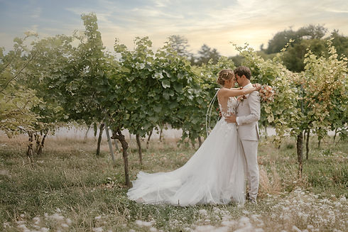 Brautpaar in den Weinbergen des Weingut Fischer in Heilbronn – Fine Art Hochzeitsfotografie im goldenen Licht