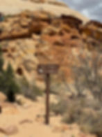 The Tanks are two pothole pools filled often filled with water in Capitol Reef National Park