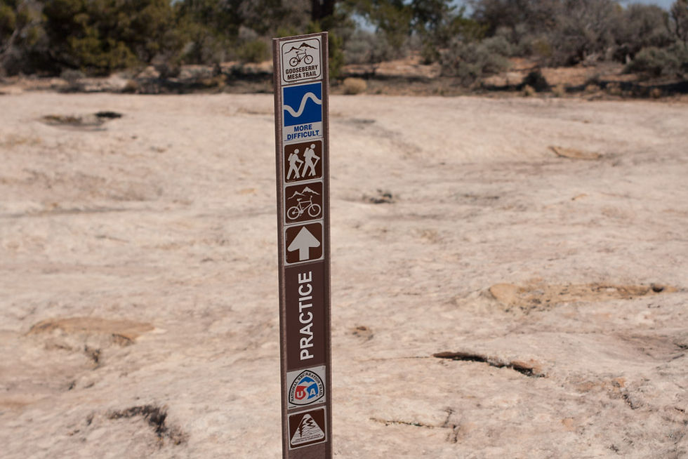 The practice loop and Gooseberry Mesa is a great intermediate ride