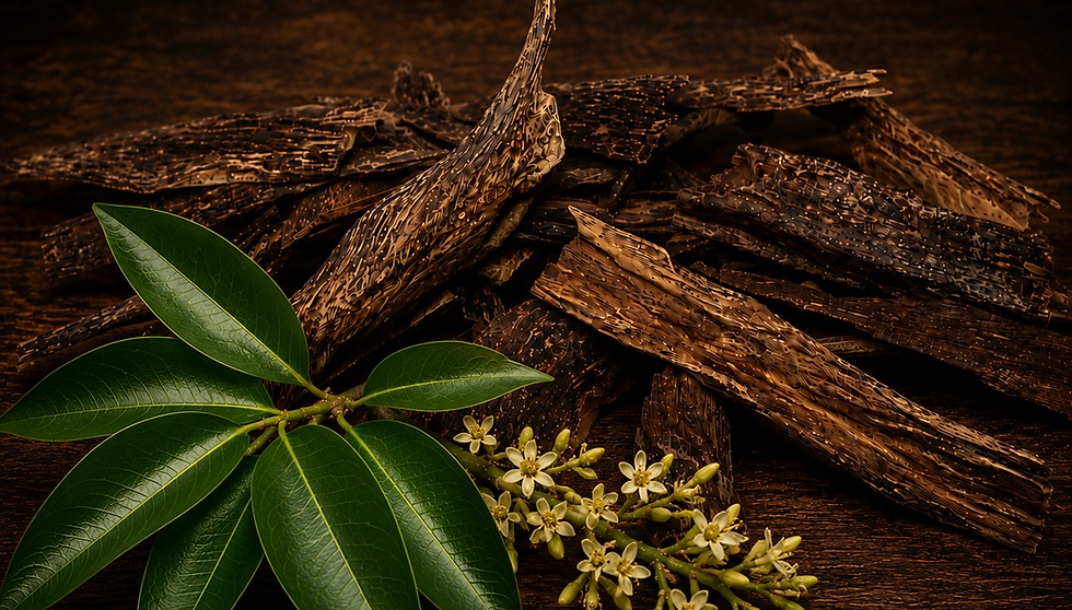 Agarwood Chips and flower.png