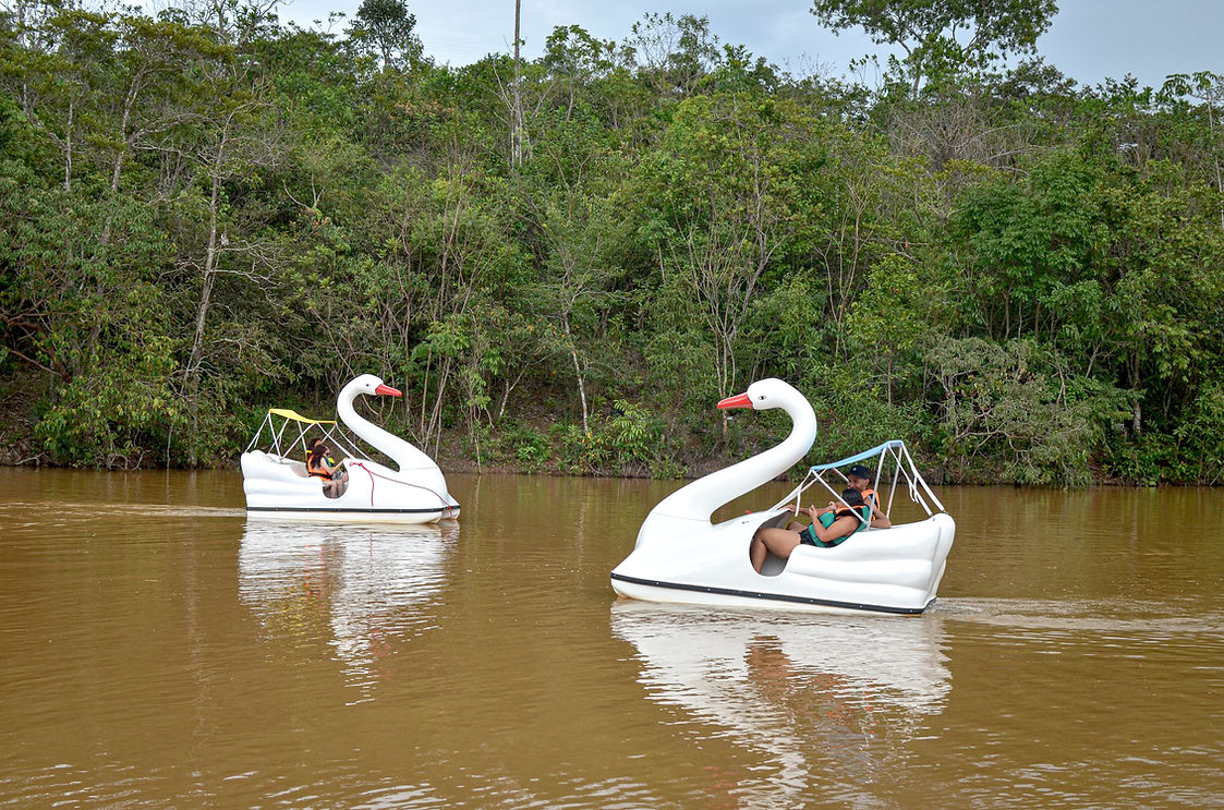Pedalinho