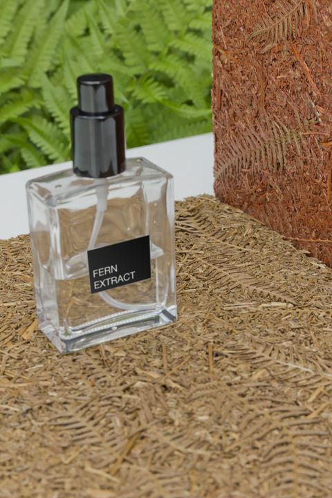 Fern-Lancome-2 zoom.jpg