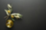 Olive oil and olive branch on black background.jpg