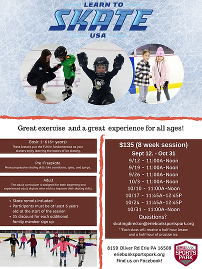 Learn to Skate(4).png