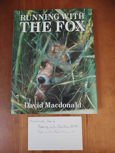 Running with the Fox | Limestone Creek Hunt