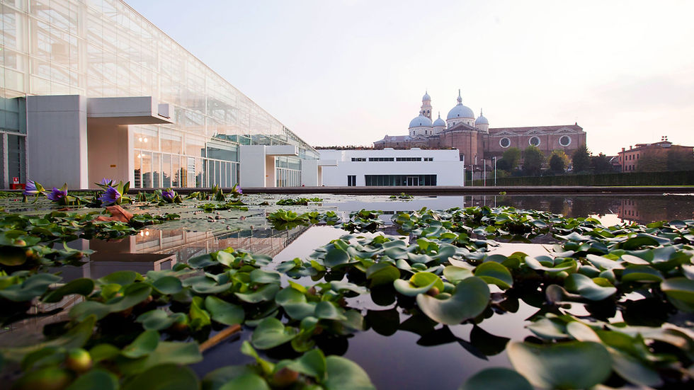 This picture was shot at the Botanical Garden of Padua and represents the external view of the main Garden's greenhouse. It is called "Biodiversity Garden" and represents a high-tech environment-friendly greenhouse.