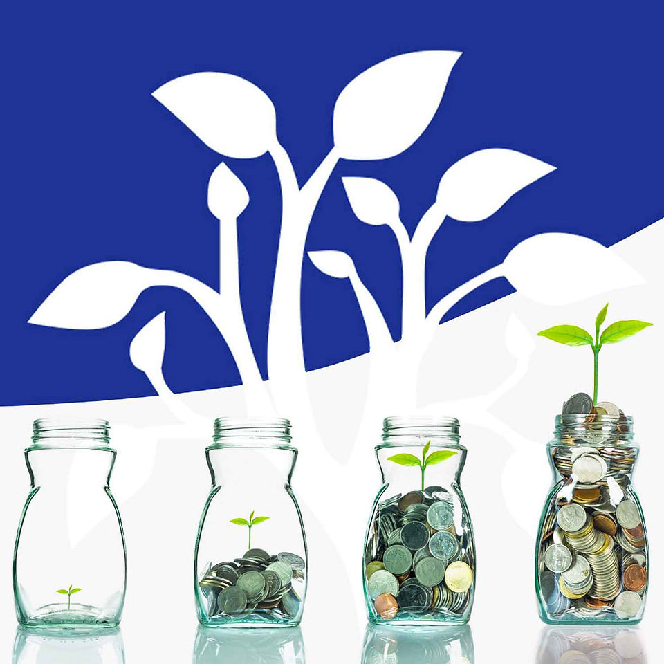 Prepare a liquidity plan from the e-book: "The 7 CFO secrets"