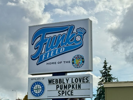 Everett Stadium Project Draws Fire for Flawed Priorities and Shaky Math