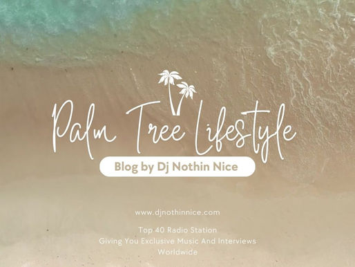 Palm Tree Lifestyle