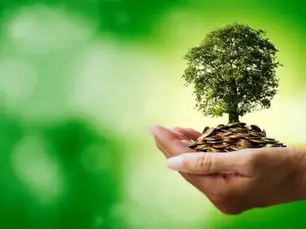 5 Rules of Thumb to Building A Sufficient Pension