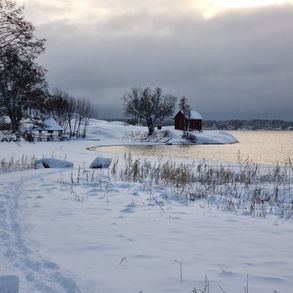 Jultider på kontoret