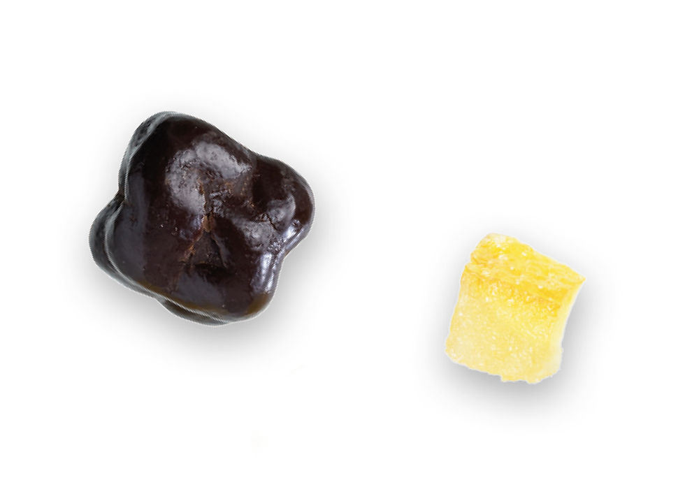 GENGIBRE C/CHOCOLATE NEGRO