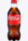 Coca-Cola 16.9 oz bottle