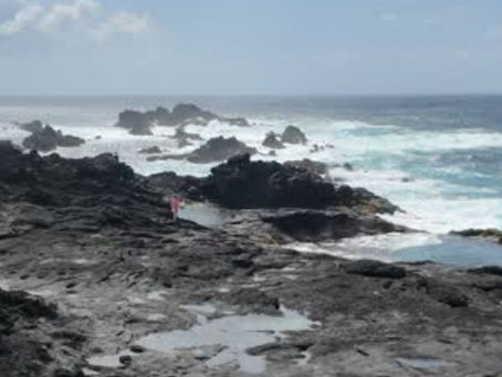The Untamed Shoreline: Feeling Alive in the Azores