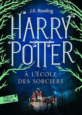 philosophers-stone-french-adult-edition-cover-480x0-c-default.jpg