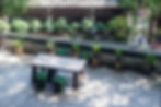 tranquil-space-with-plants_1137-266.jpg