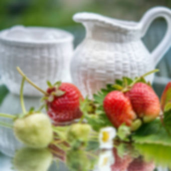 Sassyfras Strawberry Tea