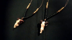 動物頭骨シリーズ（羊）