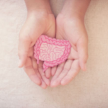 Comprehensive Gut Health / Microbiome Test