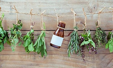 Phytotherapie Diététi'phyt Toulouse 31