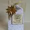 Thumbnail: Ferns Craft Die - Florist Collection By Jamie Rodgers Crafts - Craftmania Stock Photo 15