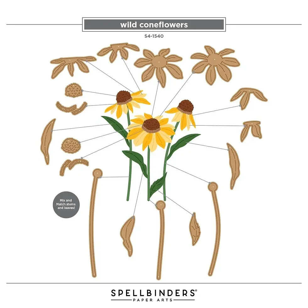 Wild Coneflowers Etched Dies by Simon Hurley For Spellbinders - Craftmania Stock Photo 2
