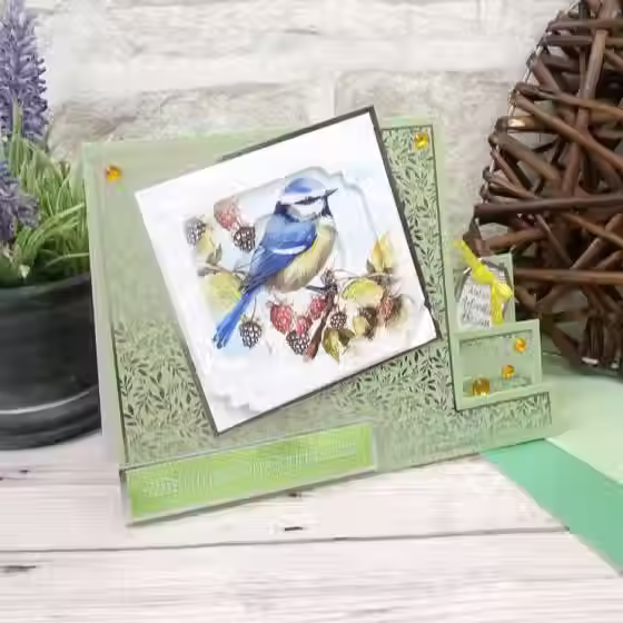 Thumbnail: Birds in Focus - Square Pocket Pad By Hunkydory - Craftmania Stock Photo 5