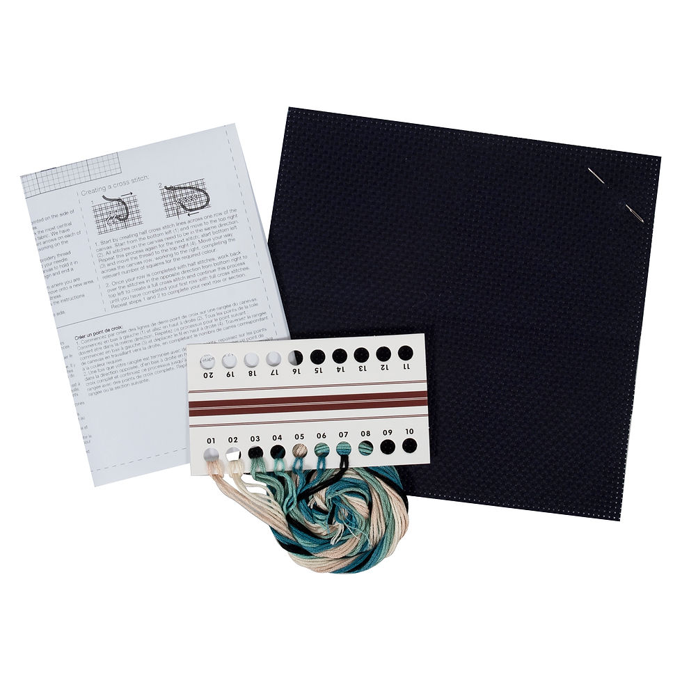 Whale - Mini Counted Cross Stitch Kit By Trimits - Craftmania Stock Photo 2