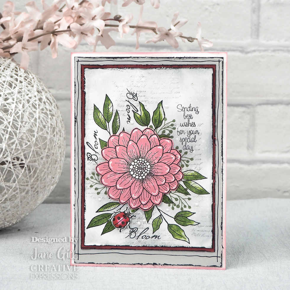 Ditsy Daisy - Clear stamps By Jane Gill - Craftmania Stock Photo 2