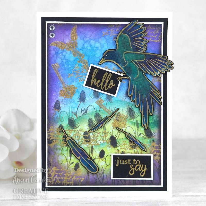 Creative Expressions Bonnita Moaby Spread Your Wings 6 in x 8 in Clear Stamp Set - Stock Photo 1