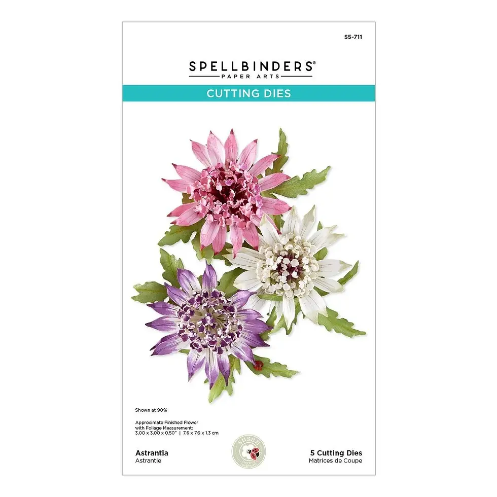 Astrantia - Etched Dies by Susan Tierney-Cockburn For Spellbinders - Craftmania Stock Photo 1