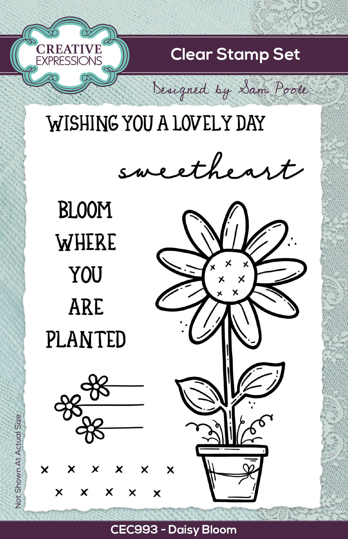 Daisy Bloom - A5 Clear Stamp By Sam Poole - Stock Photo