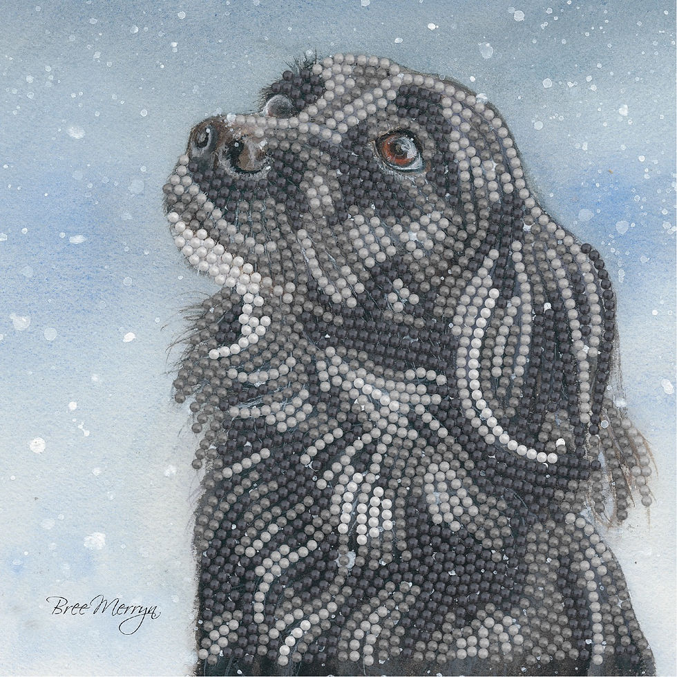 Sasha Card Kit - Sparkle Art By Bree Merryn - Craftmania Stock Photo 1