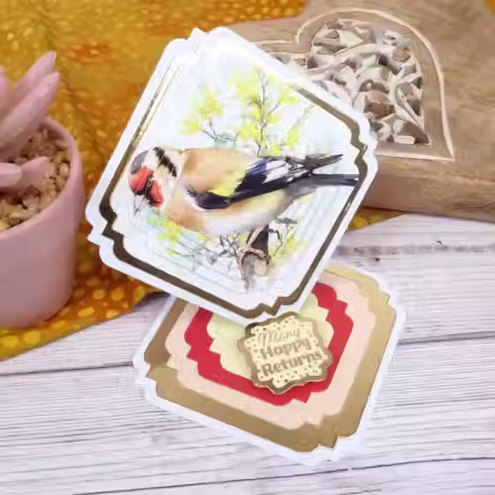 Thumbnail: Birds in Focus - Square Pocket Pad By Hunkydory - Craftmania Stock Photo 7