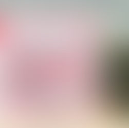 Hand Picked By Jamie - Scarlet Butterfly